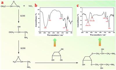 A Strategy for Prompt Phase Transfer of Upconverting Nanoparticles Through Surface Oleate-Mediated Supramolecular Assembly of Amino-β-Cyclodextrin